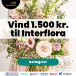 Tag quizzen og vind 1.500 kr. til Interflora