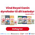 Vind Royal Canin dyrefoder til dit kæledyr