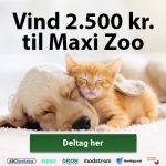 Vind 2.500 kr. til Maxi Zoo