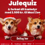 Julequiz og vind et gavekort på 2.500 kr. til Maxi Zoo