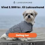 Vind 2.500 kr. til Luksushund