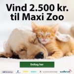 Vind et gavekort på 2.500 kr. til Maxi Zoo.